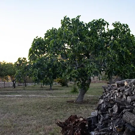 Casa de Férias La Campagna Di Gisella,